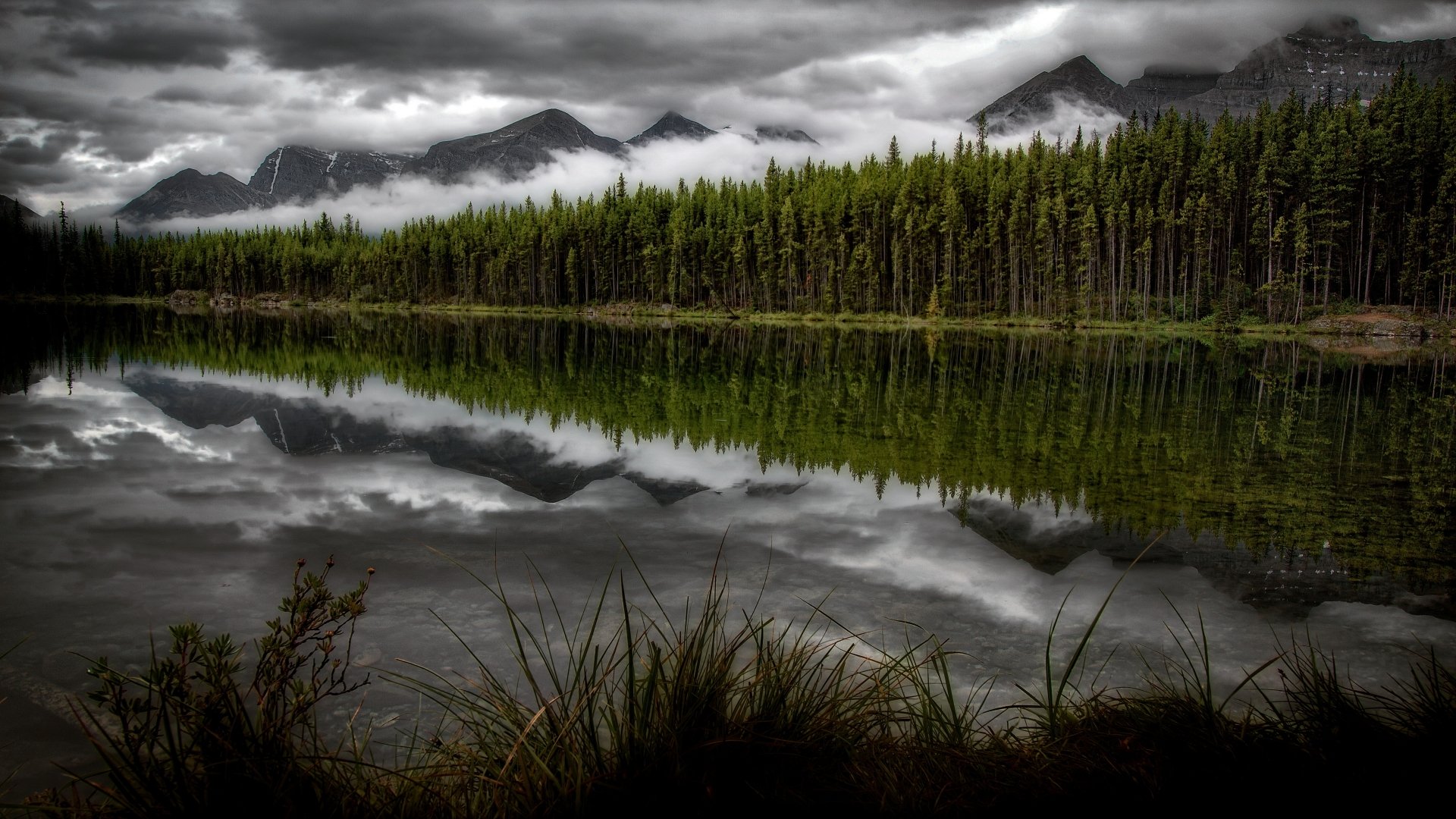4K Ultra HD: Serene Mountain Lake Reflection in Forest Wilderness ...