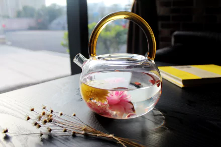 Clear glass teapot holding a pink flower in water on a dark table by a window, still life photography — 5K Ultra HD PC desktop wallpaper and background.