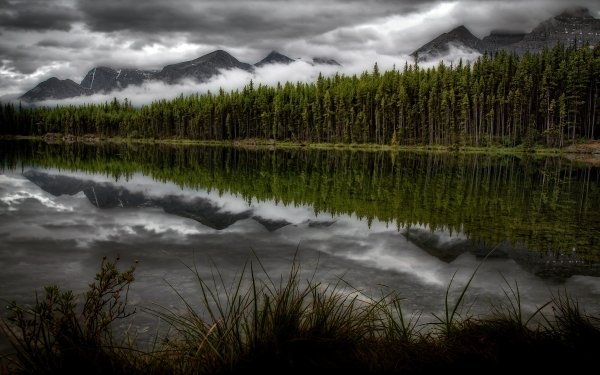 Earth Lake Lakes Nature Reflection Mountain Forest HD Wallpaper | Background Image