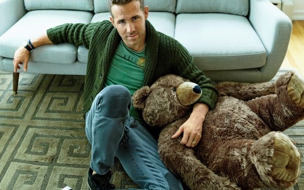 Celebrity Ryan Reynolds Actor Canadian Teddy Bear Stuffed Animal HD Wallpaper | Background Image