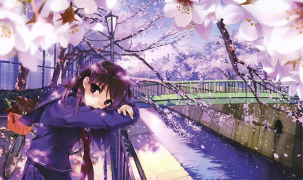 Anime-style girl standing on a bridge under blooming cherry blossoms, with a serene river flowing below. Vibrant and high-definition original artwork, suitable as a desktop wallpaper and background.