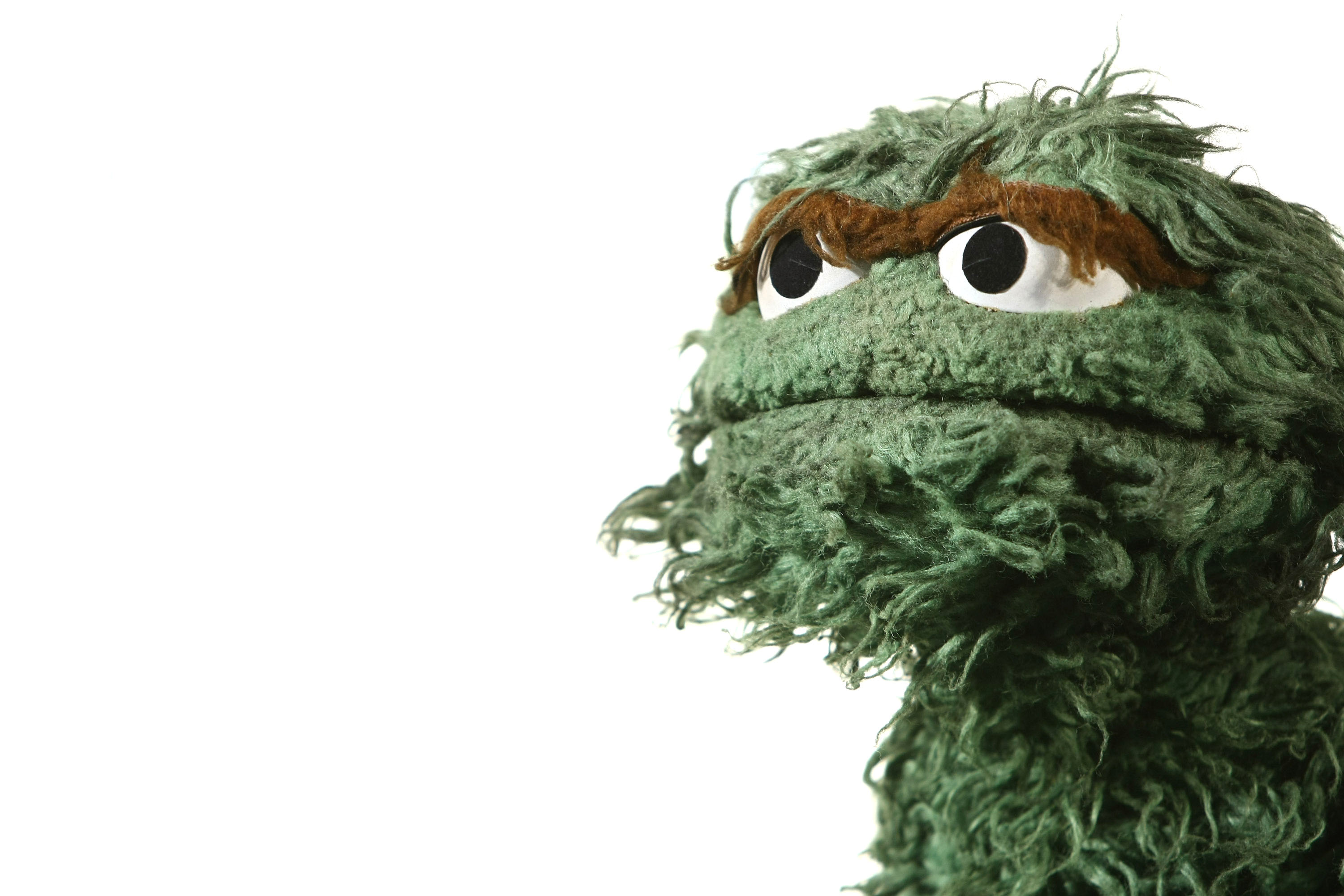 Oscar the Grouch from The Muppets TV show.