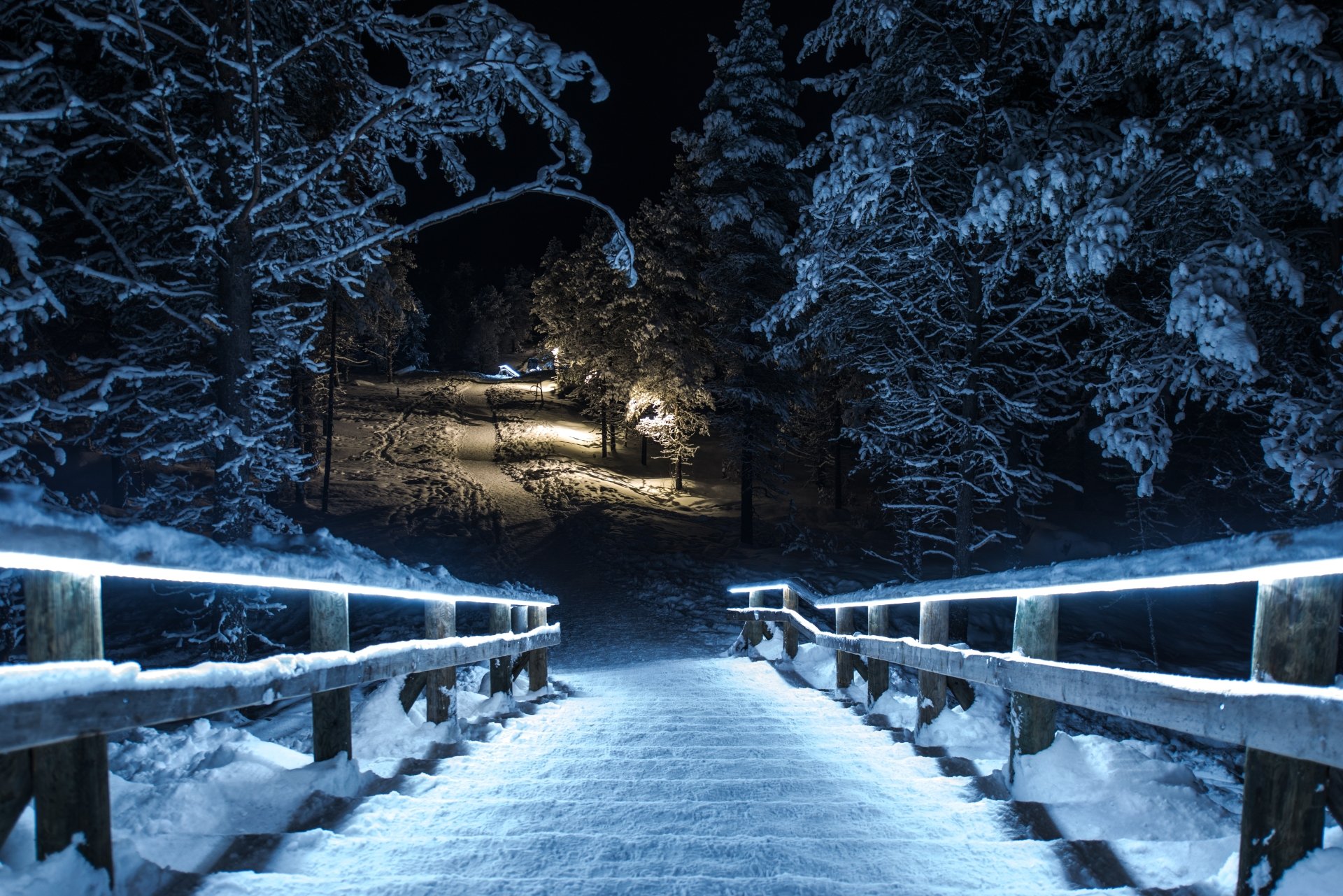 Download Tree Park Snow Winter Man Made Stairs 4k Ultra HD Wallpaper ...
