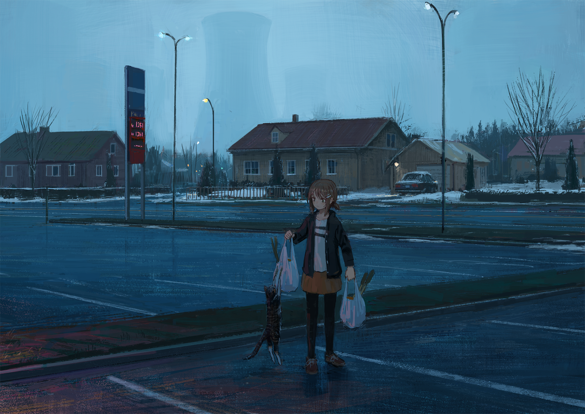 Anime-style HD desktop wallpaper featuring a character standing with an anime cat at night in a quiet suburban setting.