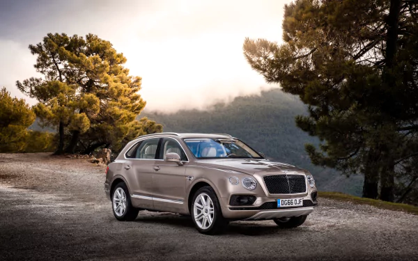silver car car SUV Bentley vehicle Bentley Bentayga HD Desktop Wallpaper | Background Image