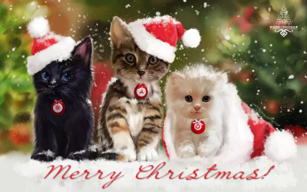HD painting of three cute Christmas cats wearing Santa hats and red collars in a snowy holiday scene, with Merry Christmas! greeting for PC desktop wallpaper.