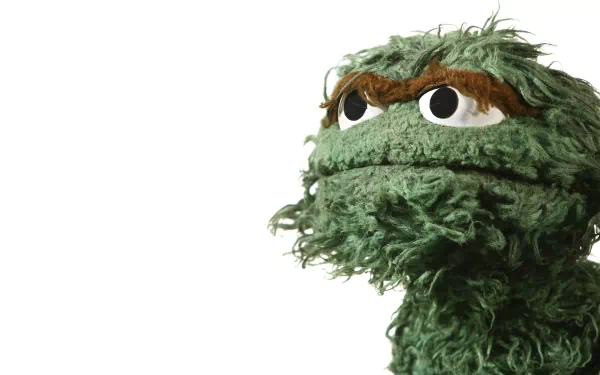 Oscar the Grouch The Muppets (TV Show) TV Show Sesame Street HD Desktop Wallpaper | Background Image
