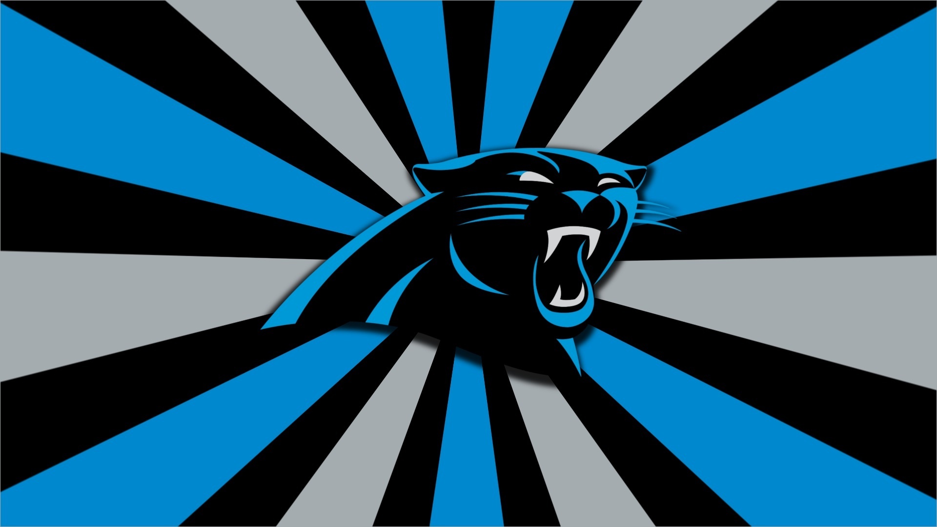 Sports Carolina Panthers HD Wallpaper | Background Image