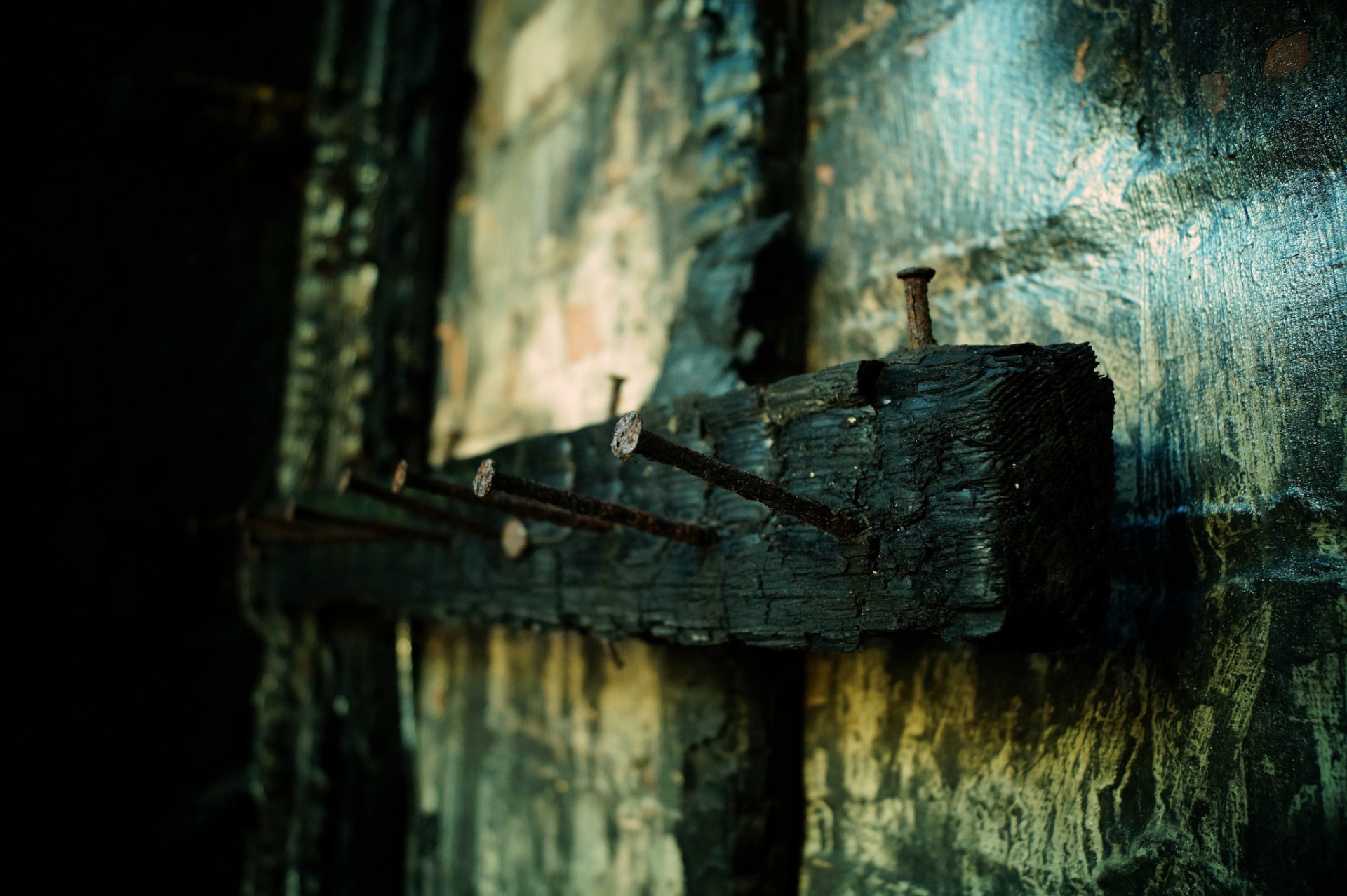 Download Nail Rust Nature Wood HD Wallpaper