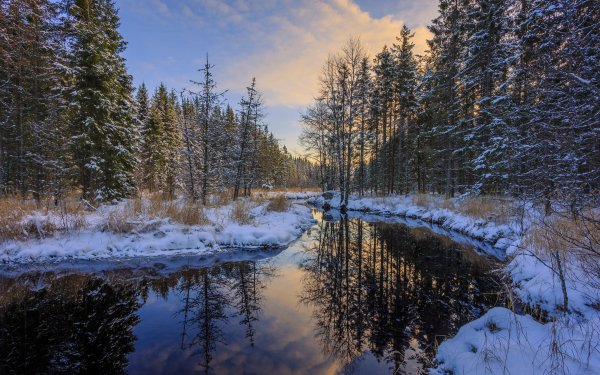 Nature River Reflection Winter Snow Forest HD Wallpaper | Background Image