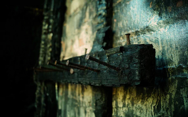 nail rust nature wood HD Desktop Wallpaper | Background Image