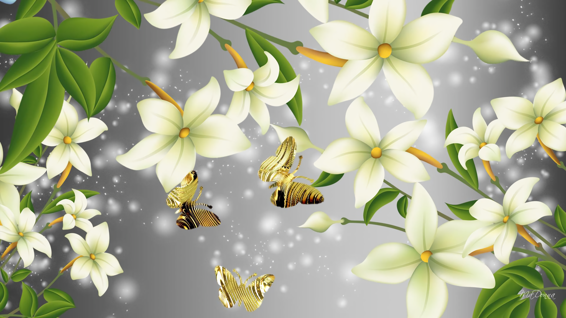 to create png 512x512 how Flowers and  Butterflies  HD Background Image Wallpaper