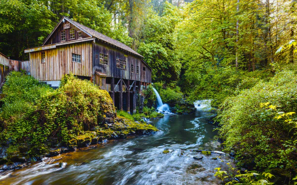 5K Ultra HD PC desktop wallpaper and background: a man-made wooden watermill beside a rushing stream in a verdant forest.