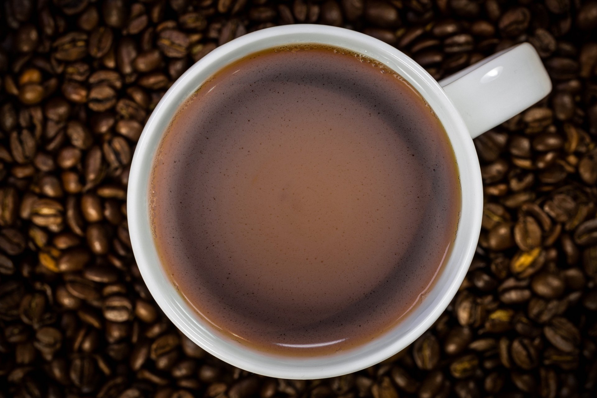 Download Close-up Cup Coffee Beans Food Coffee HD Wallpaper by D.G Photography