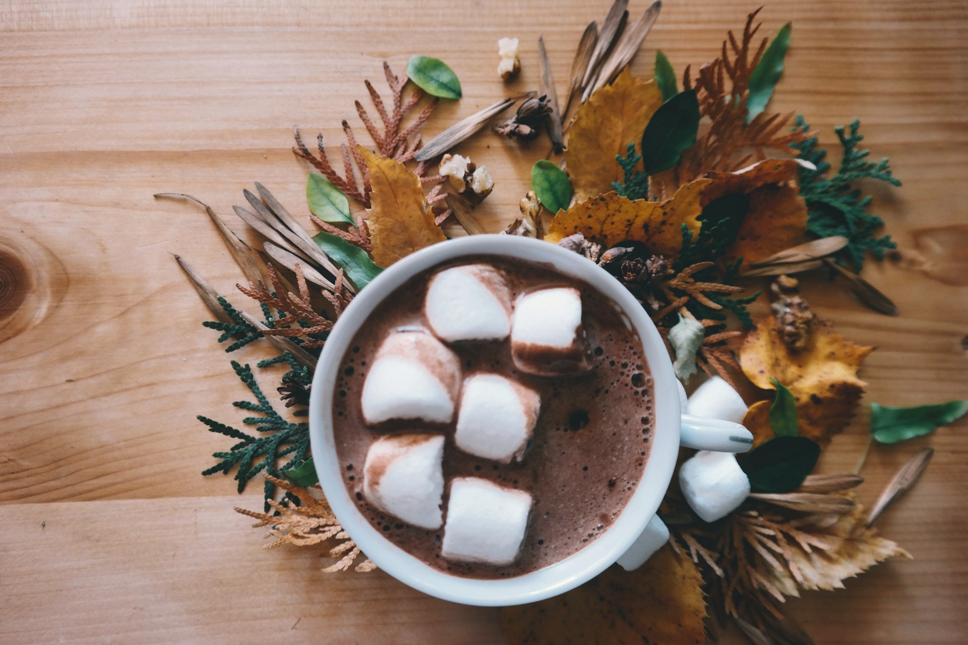 Download Leaf Marshmallow Cup Food Hot Chocolate 4k Ultra HD Wallpaper   Thumb 1920 784885 