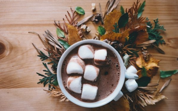 Food Hot Chocolate Cup Marshmallow Leaf HD Wallpaper | Background Image