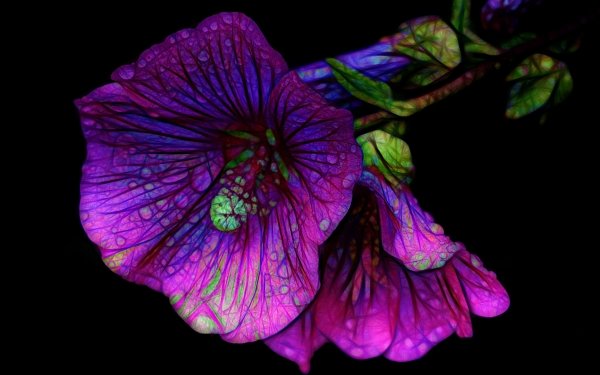Artistic Flower Flowers Water Drop Purple Flower Fractal HD Wallpaper | Background Image