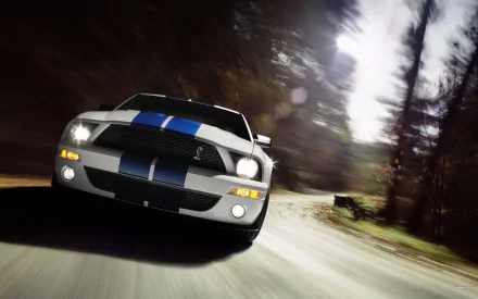 HD desktop wallpaper featuring a Ford Mustang driving on a forested road, showcasing its front view with characteristic racing stripes under dynamic lighting.