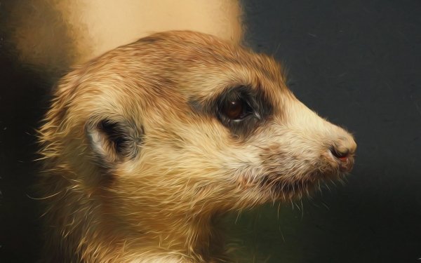Animal Meerkat Oil Painting Portrait Painting HD Wallpaper | Background Image