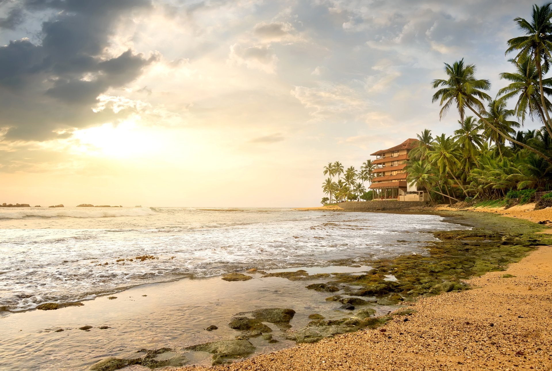 Download Horizon Building Coast Ocean Palm Tree Beach Sri Lanka Man Made Hotel  4k Ultra HD Wallpaper