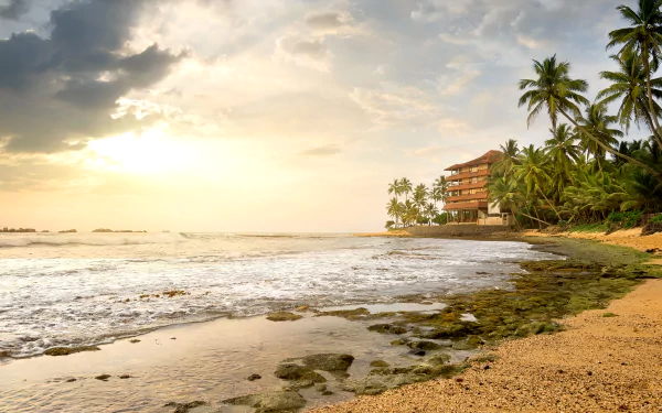 horizon building coast ocean palm tree beach Sri Lanka man made hotel HD Desktop Wallpaper | Background Image