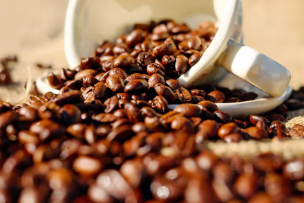 mug cup coffee beans food coffee HD Desktop Wallpaper | Background Image