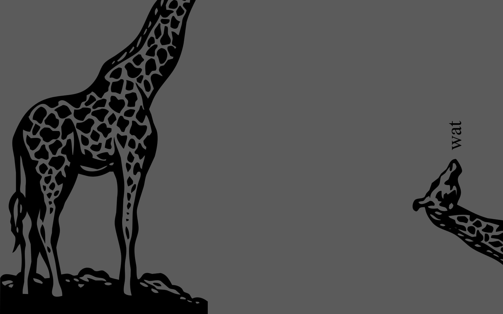 A humorous HD desktop wallpaper featuring a giraffe looking upward, accompanied by a smaller giraffe asking wat. The playful imagery adds a lighthearted touch to your background.