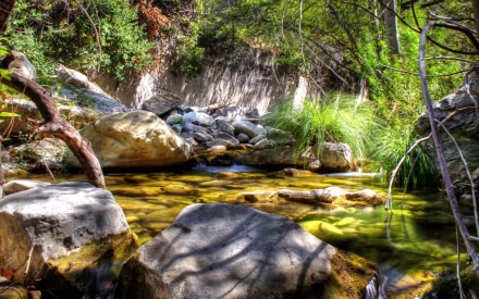 A serene stream flows through a lush natural landscape, with smooth rocks scattered along the water's edge, creating a tranquil HD desktop wallpaper and background.