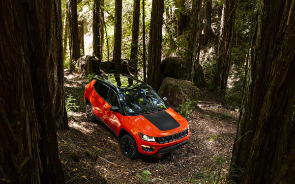 Orange Jeep Trailhawk SUV parked among towering redwood trees in a dense forest, presented as a 2K Quad HD PC desktop wallpaper background.