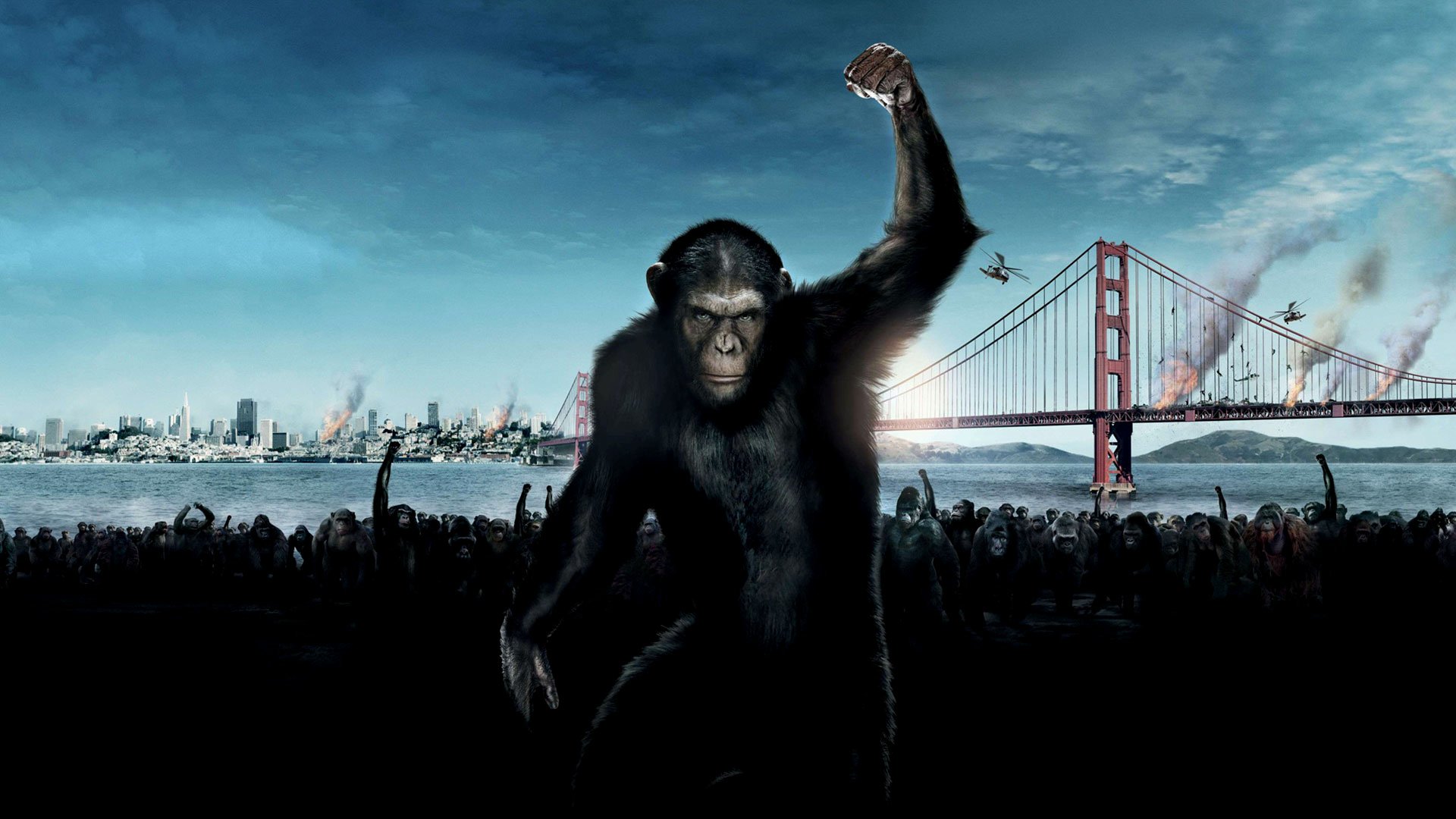 Download Movie Rise Of The Planet Of The Apes HD Wallpaper