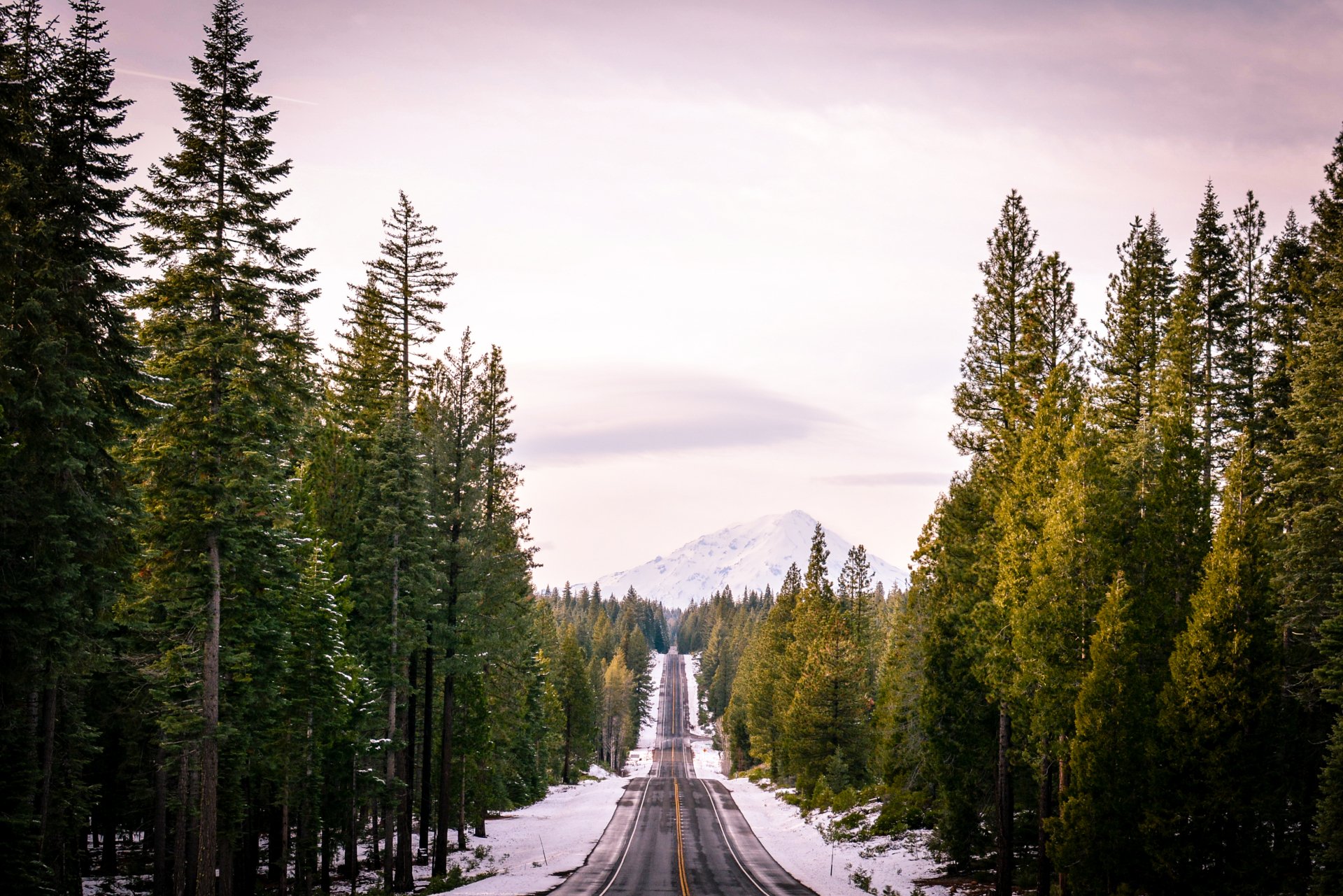 Download Winter Tree Forest Nature Man Made Road HD Wallpaper ...