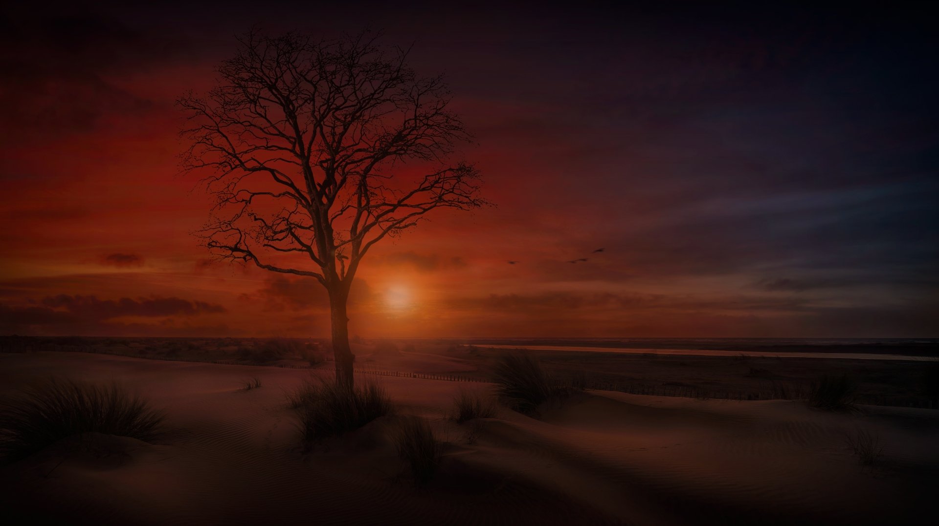 Dark, lonely tree stands against a dramatic sky over a sandy beach and ocean horizon at dusk, captured in stunning 4K Ultra HD for a PC desktop wallpaper.