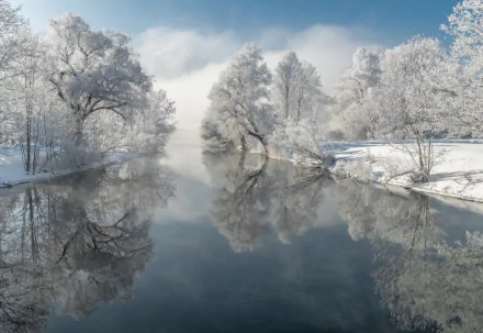 A serene winter river scene with snow-covered trees and thick fog, reflecting perfectly on the calm water, captured in HD for a nature desktop wallpaper.