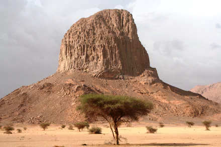 A lone tree stands in the Sahara desert of Algeria with the towering rock formation of the Hoggar Mountains in the Tassili region under a cloudy sky.