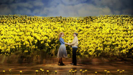 movie Big Fish HD Desktop Wallpaper | Background Image