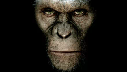 movie rise of the planet of the apes HD Desktop Wallpaper | Background Image