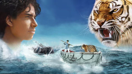 movie Life of Pi HD Desktop Wallpaper | Background Image