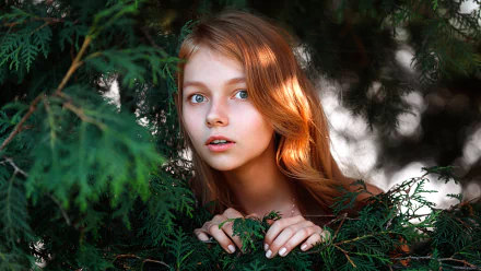 Redhead woman model with blue eyes peering through evergreen branches — vibrant portrait styled as a 2K Quad HD PC desktop wallpaper and background.