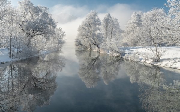 Earth River Nature Winter Reflection Snow Tree Fog HD Wallpaper | Background Image