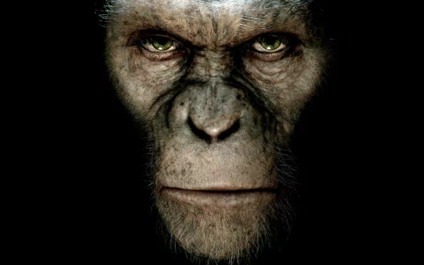 movie rise of the planet of the apes HD Desktop Wallpaper | Background Image