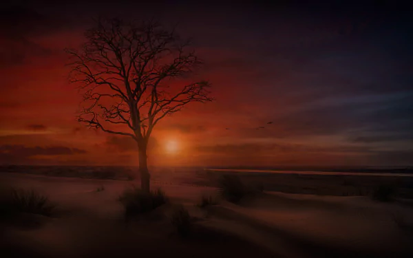 Dark, lonely tree stands against a dramatic sky over a sandy beach and ocean horizon at dusk, captured in stunning 4K Ultra HD for a PC desktop wallpaper.