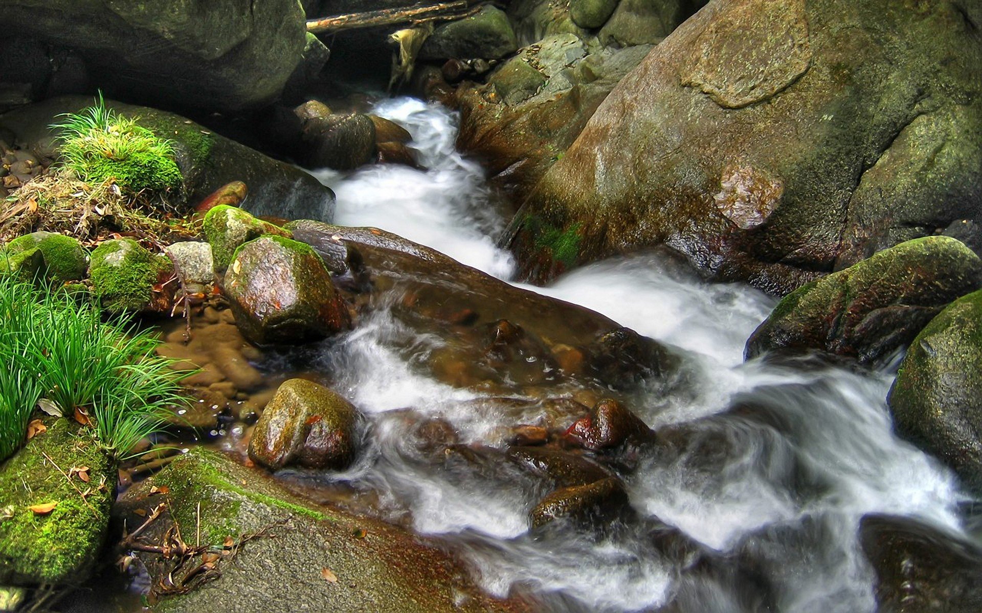 HD desktop wallpaper showing a serene nature scene with a clear stream flowing over moss-covered rocks surrounded by green grass and foliage.