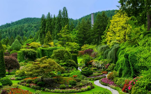 A garden in the Philippine seedling bank HD Wallpaper | Background ...