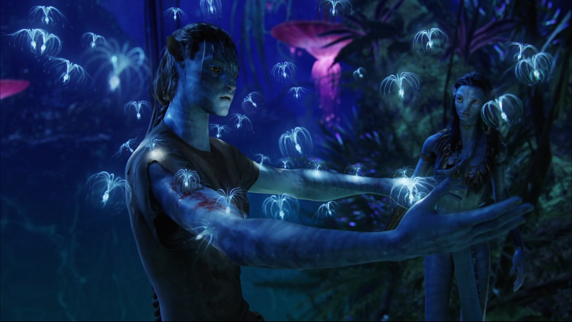 Na'vi couple in vivid HD wallpaper with Jake Sully and Neytiri from Avatar, featuring their unique yellow eyes.