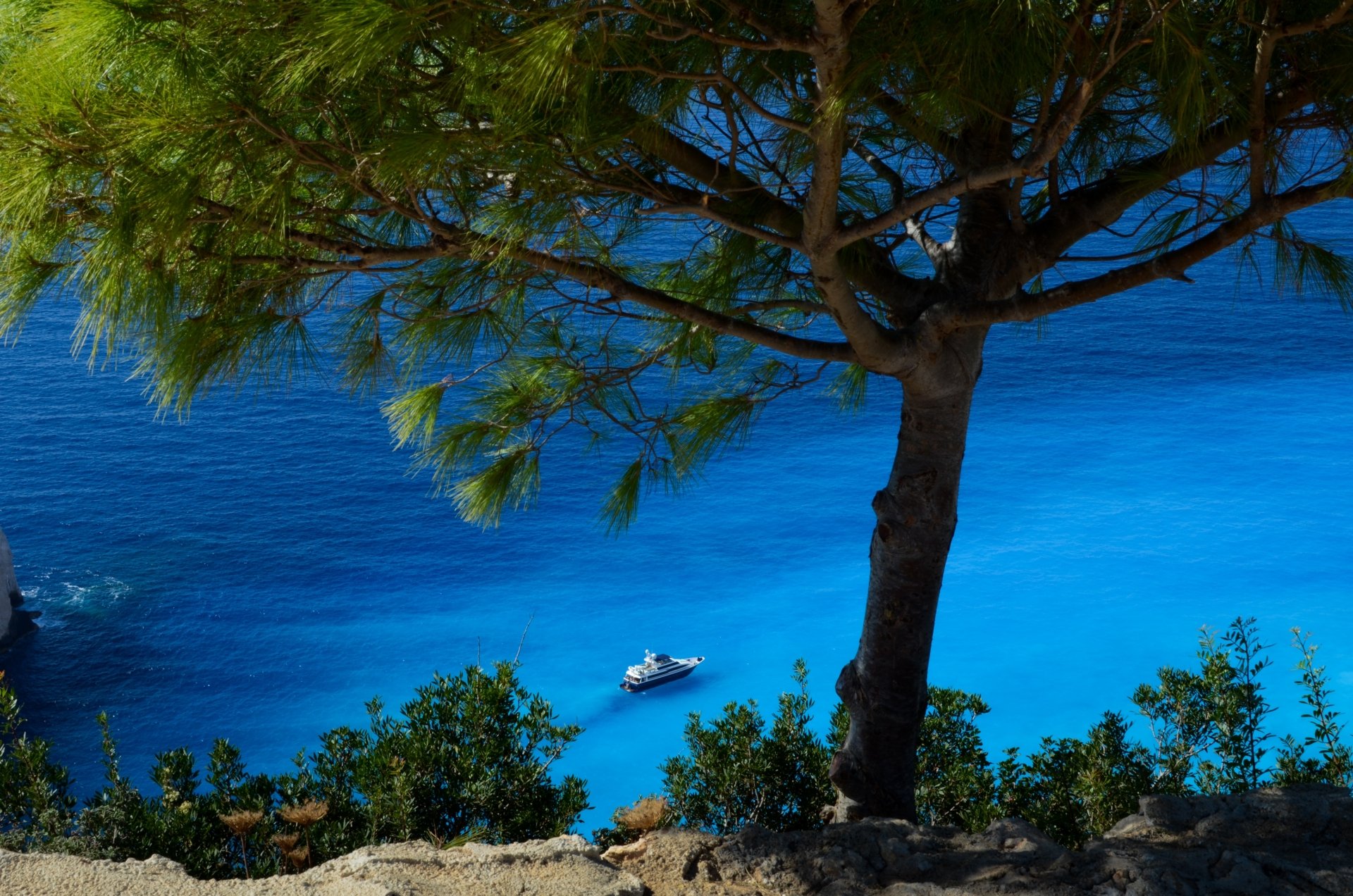 A 4K Ultra HD desktop wallpaper showing a turquoise ocean with a boat floating near the shore, framed by a tree and coastal vegetation.