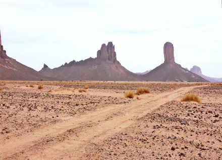 Adrar - Algeria sahara