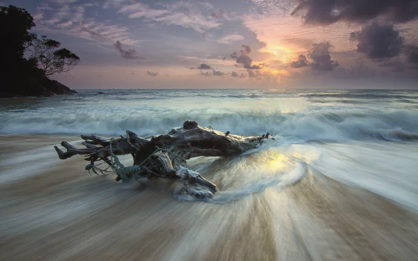 cloud horizon foam driftwood nature ocean HD Desktop Wallpaper | Background Image