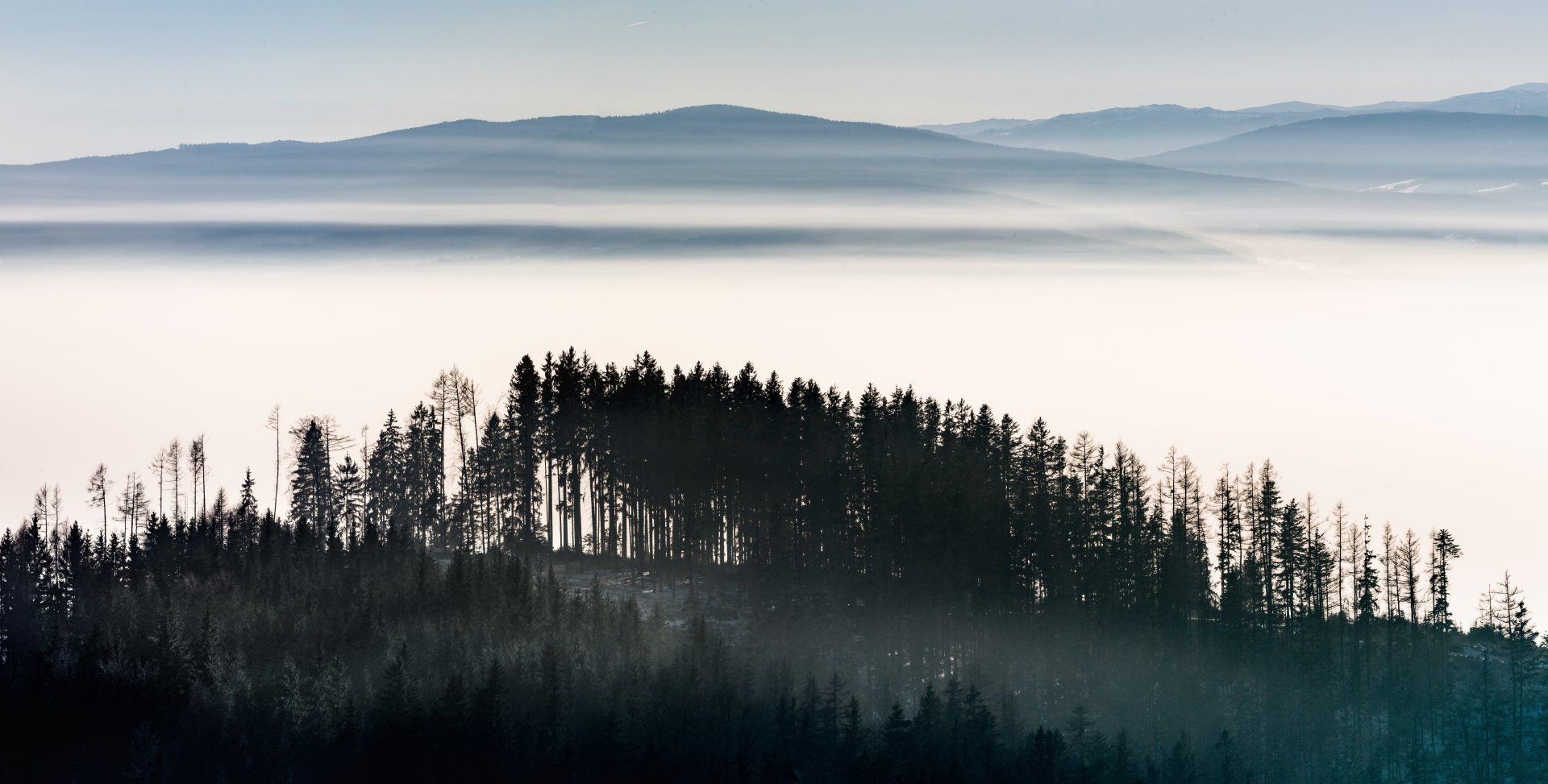 8K Ultra HD panorama: fog-filled mountain landscape with layered blue ridges and a silhouetted forested ridge in the foreground — PC Desktop Wallpaper and Background.