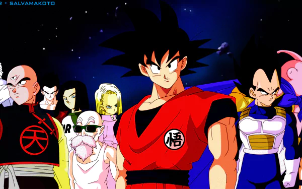 HD desktop wallpaper featuring Dragon Ball Super characters: Krillin, Master Roshi, Tien Shinhan, Android 18 and 17, Gohan, Majin Buu, Piccolo, Vegeta, and Goku, set against a cosmic background.