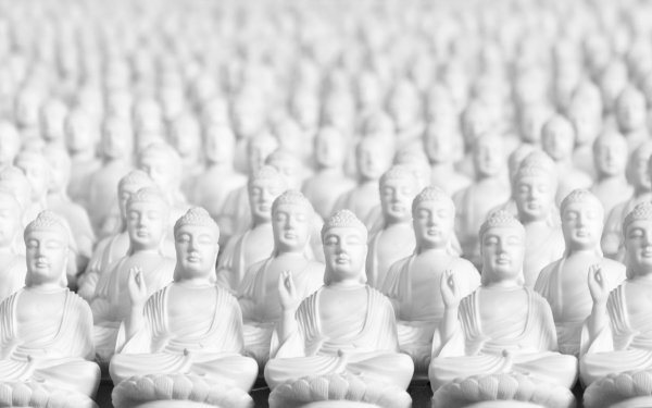 Religious Buddha Statue White HD Wallpaper | Background Image